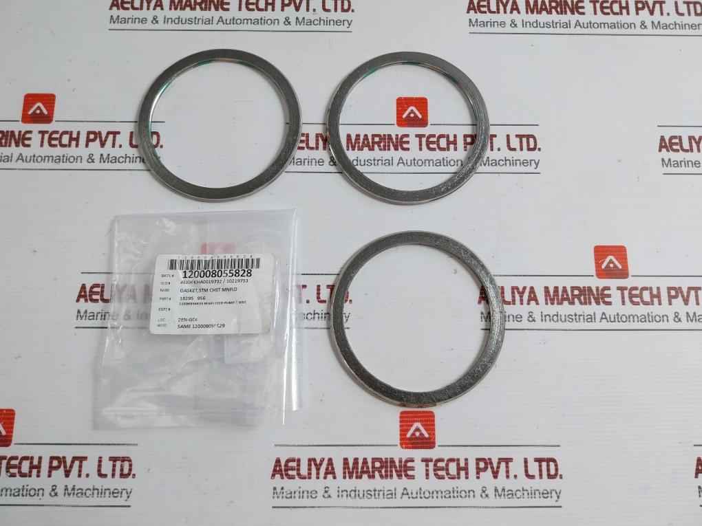Sealing Gasket For Main Feed Pump 18295 956