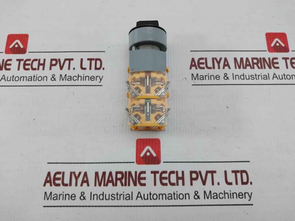 Selector Switch Actuator 704.900.4 Eao