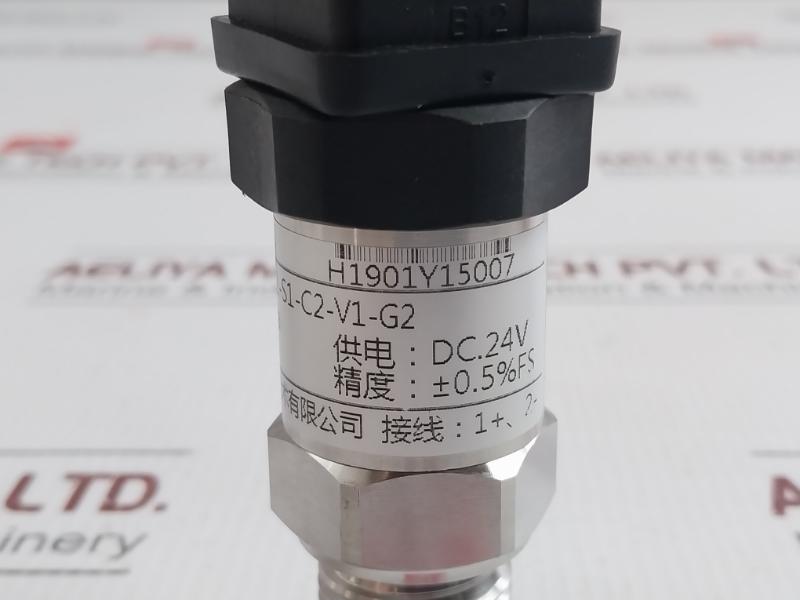 Sin-p300-j1-s1-c2-v1-g2 Pressure Transmitter Henan Xinruipu Dc.24V