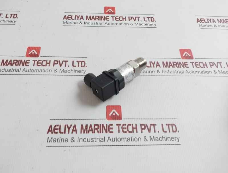 Sin-p300-j1-s1-c2-v1-g2 Pressure Transmitter Henan Xinruipu Dc.24V