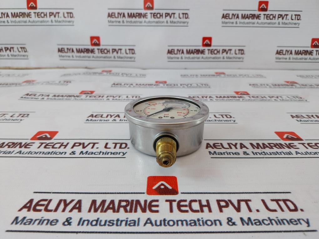 Tecsis 0-60 Bar Pressure Gauge 4131224460