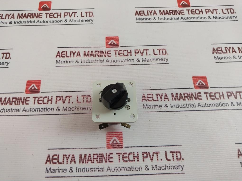 Telux M10 CEE24 Rotary Cam Switch