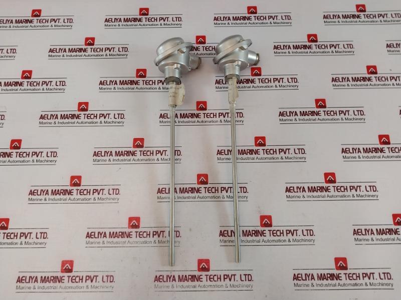 TMH TM021.131 Temperature Sensor 2x PT100 2-Wire K-24037