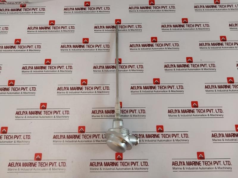 TMH TM021.131 Temperature Sensor 2x PT100 2-Wire K-24037