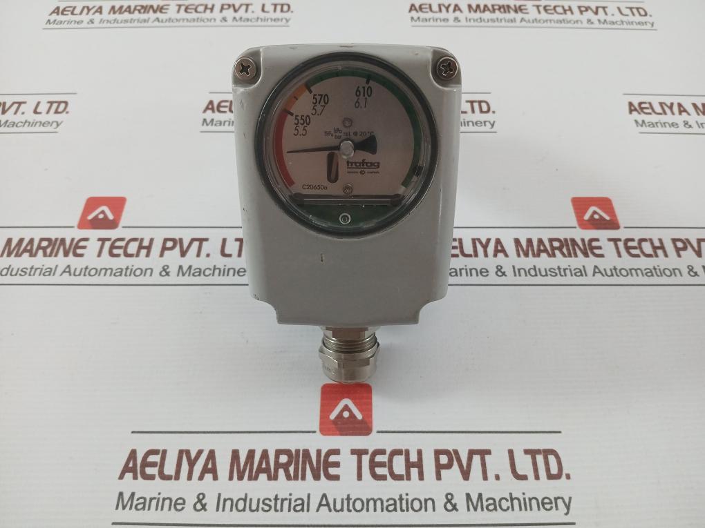 Trafag-Hybrid-Density-Monitor-8783-28-2200-210194-2
