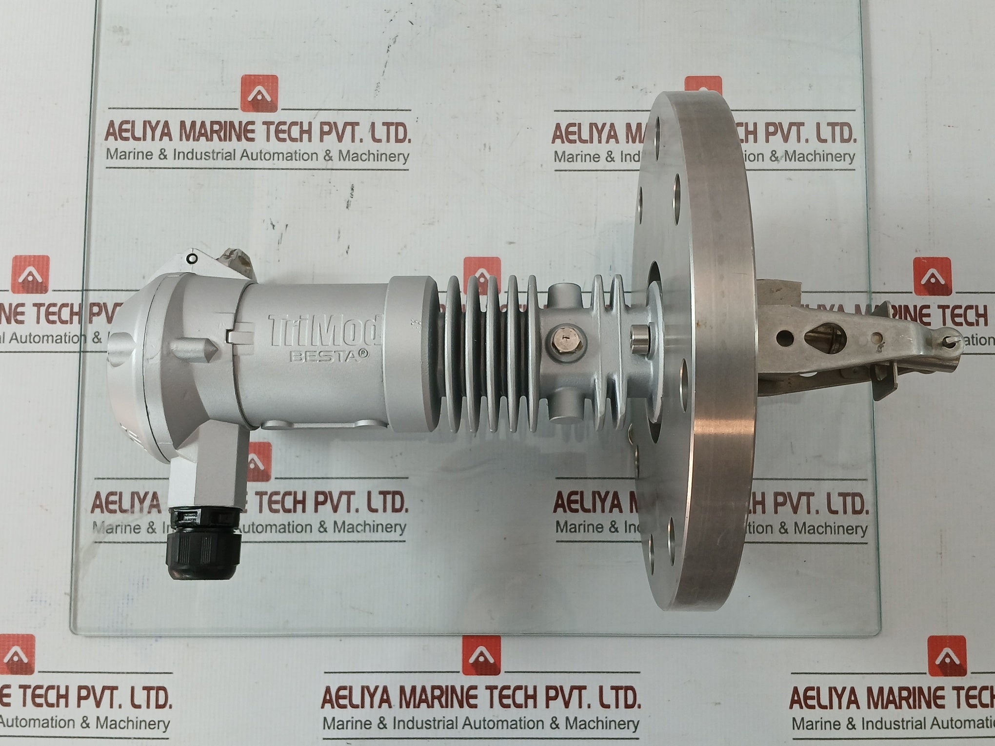 Level Switch ТDВВ9 011Z 76 Trimod-besta