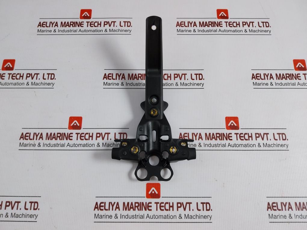Triumph-Lower-Hanger-Reg-Plate-2702356-In-New-1