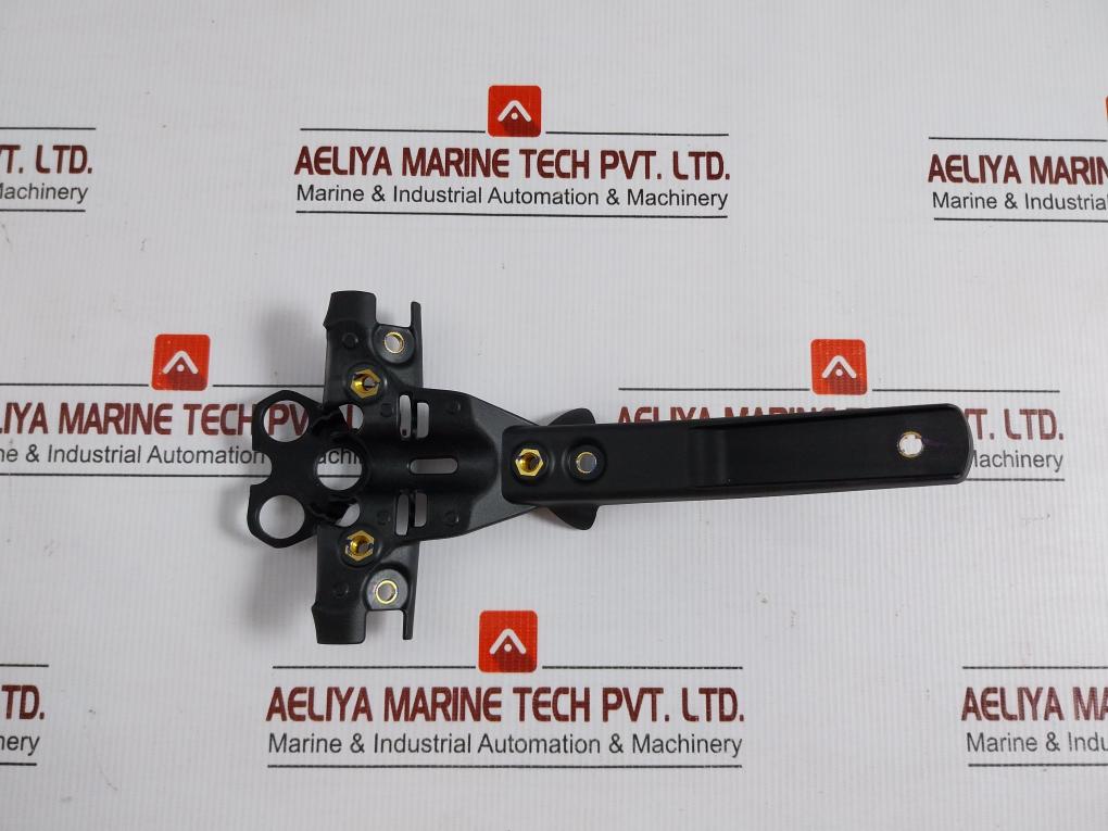 Triumph-Lower-Hanger-Reg-Plate-2702356-In-New-2