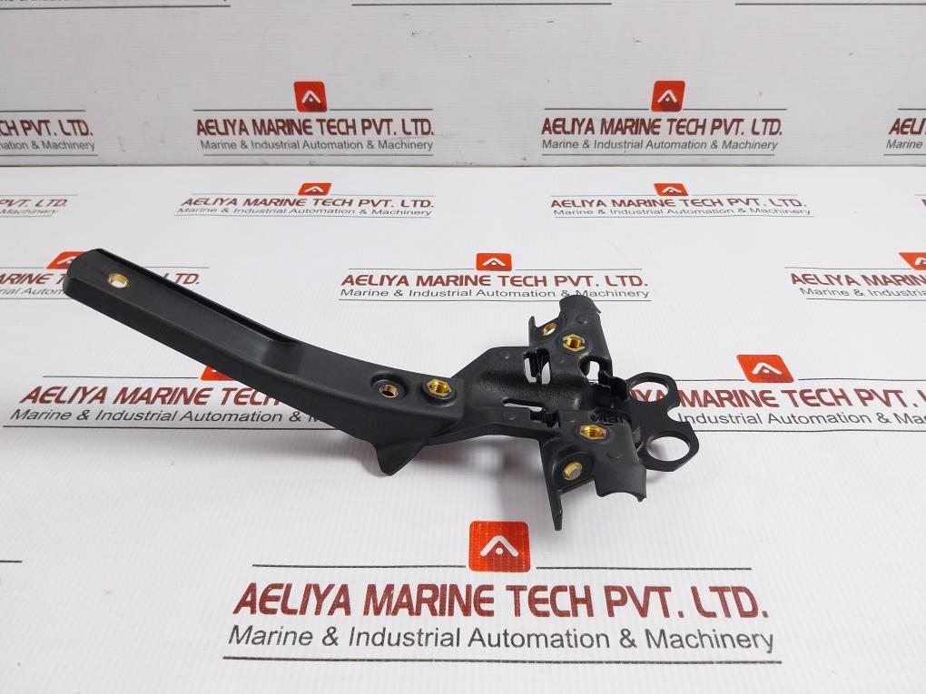 Triumph-Lower-Hanger-Reg-Plate-2702356-In-New-7