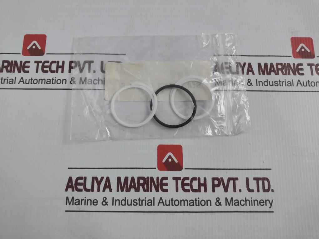 Tsc 021-0211 P/Cilindro/Cj Seal For Cylinder Racking Arm Piston Seal Kit