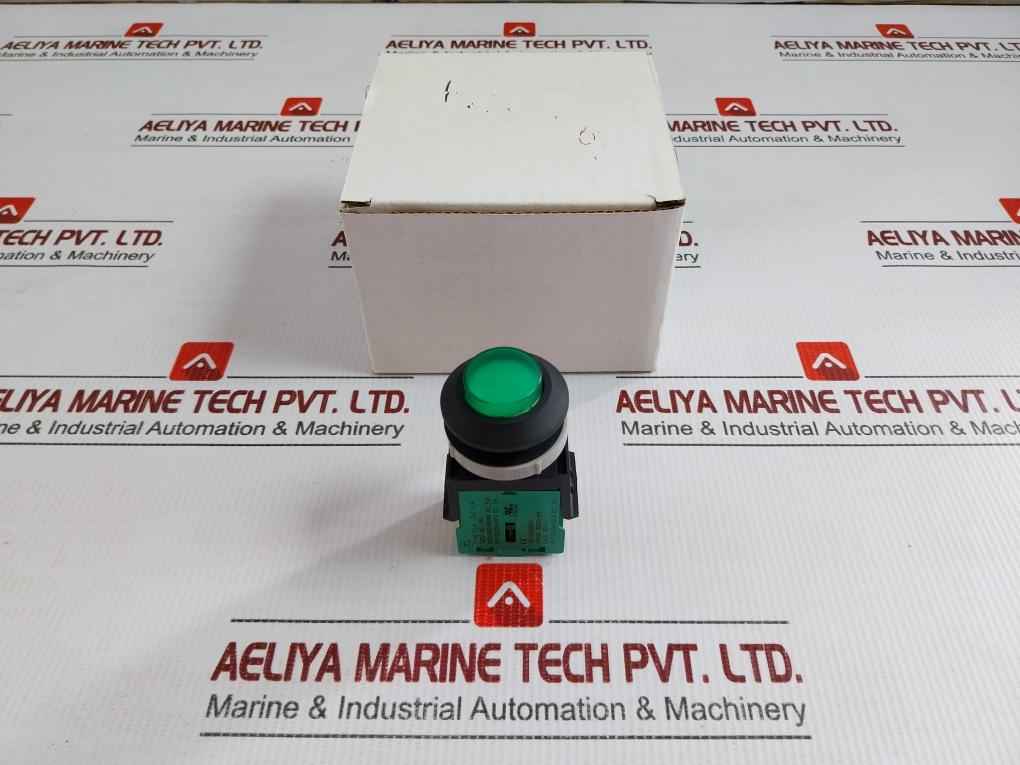 Tsen I Illuminated Metal Flush Push Button 125V Ac, 15A Ts-a