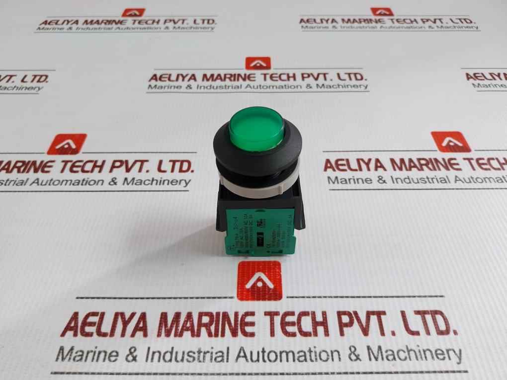 Tsen I Illuminated Metal Flush Push Button 125V Ac, 15A Ts-a