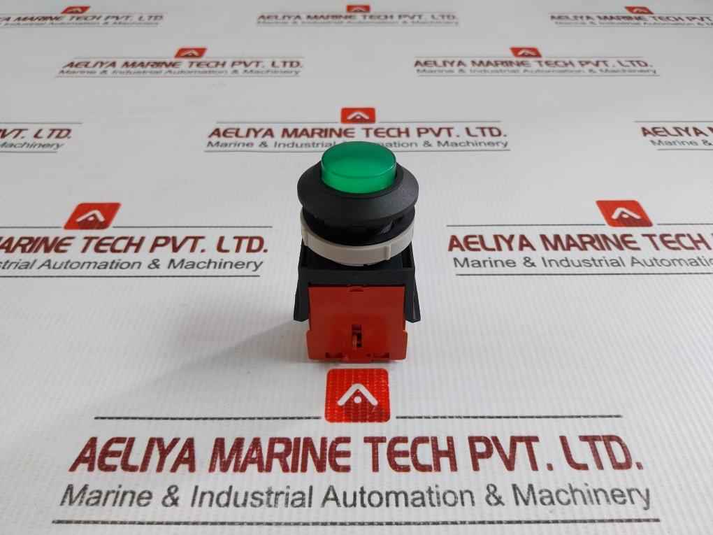 Tsen I Illuminated Metal Flush Push Button 125V Ac, 15A Ts-a