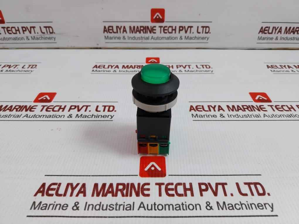 Tsen I Illuminated Metal Flush Push Button 125V Ac, 15A Ts-a