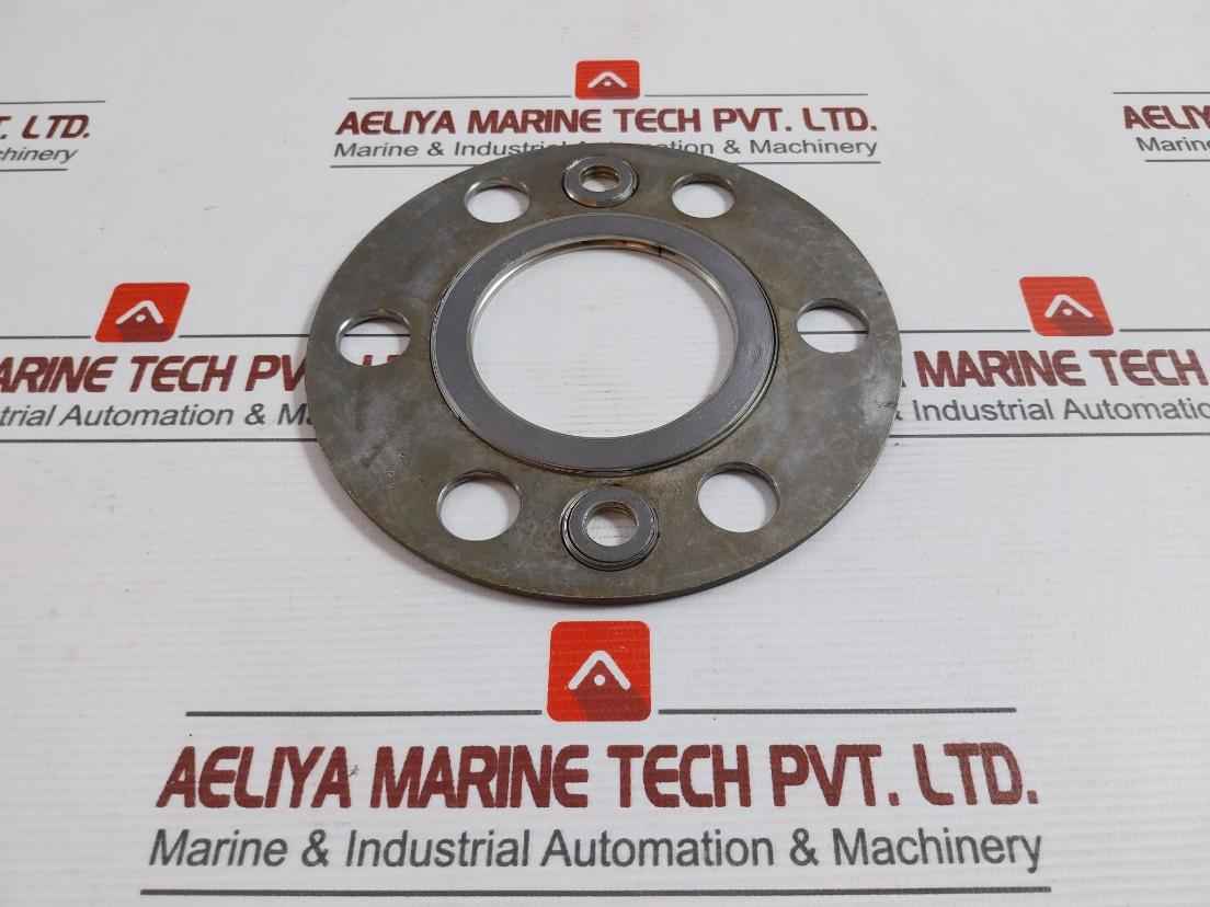 Valqua 6591 Gasket For 32A Steam Red. V/V Ns500Sm