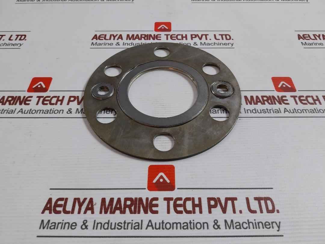 Valqua 6591 Gasket For 32A Steam Red. V/V Ns500Sm