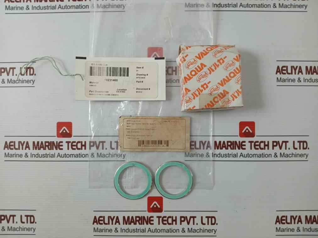 Valqua F0231460 Gasket/Green Tight 300-25A Af03-0035