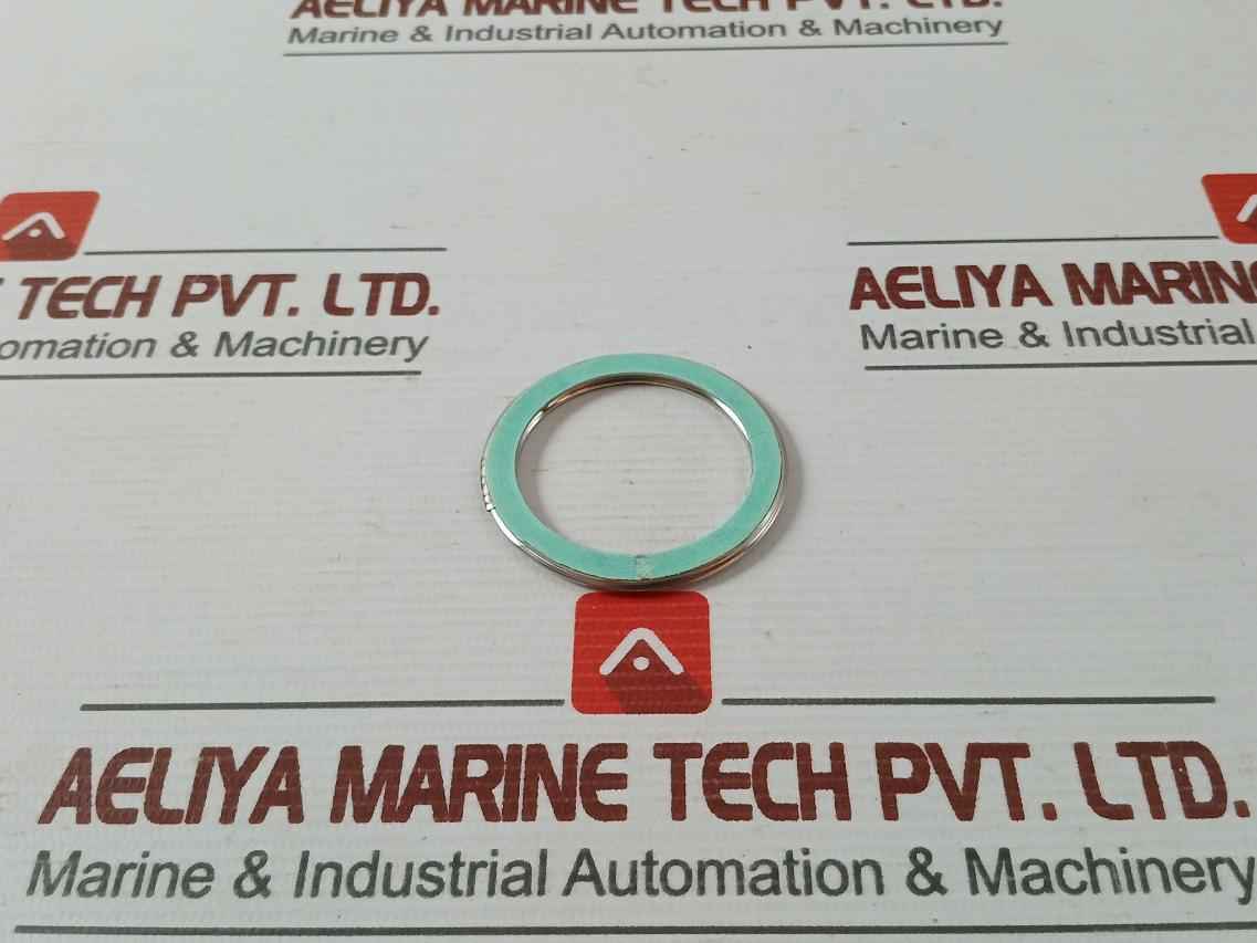 Valqua F0231460 Gasket/Green Tight 300-25A Af03-0035