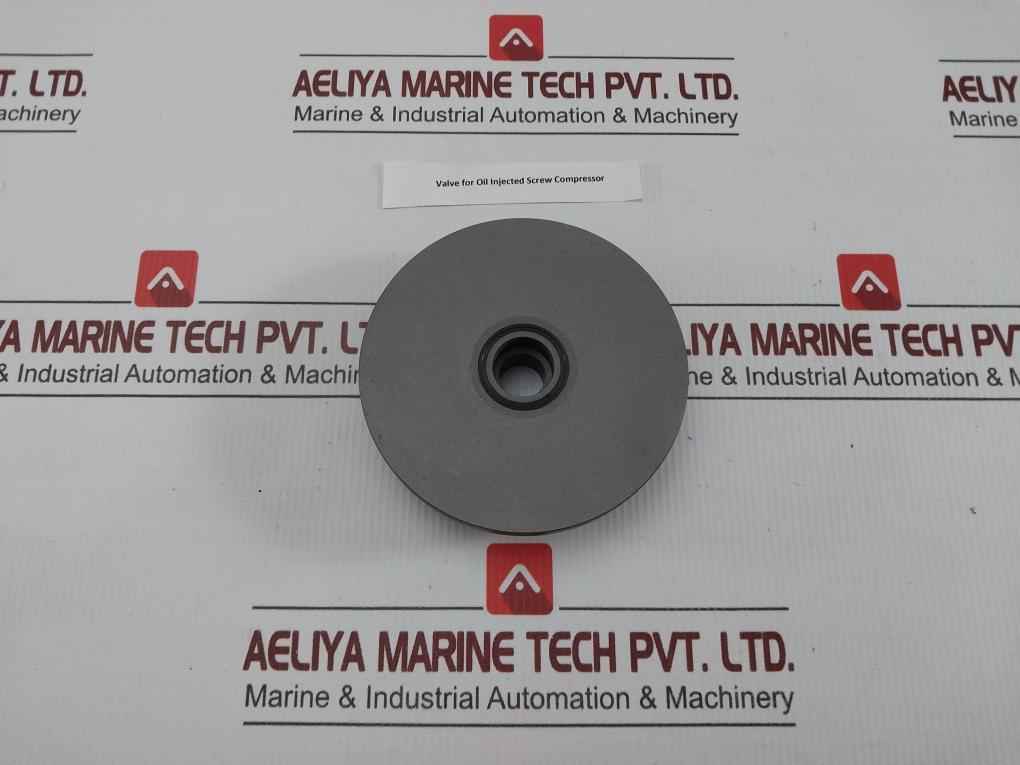 Valve For Oil Injected Screw Compressor