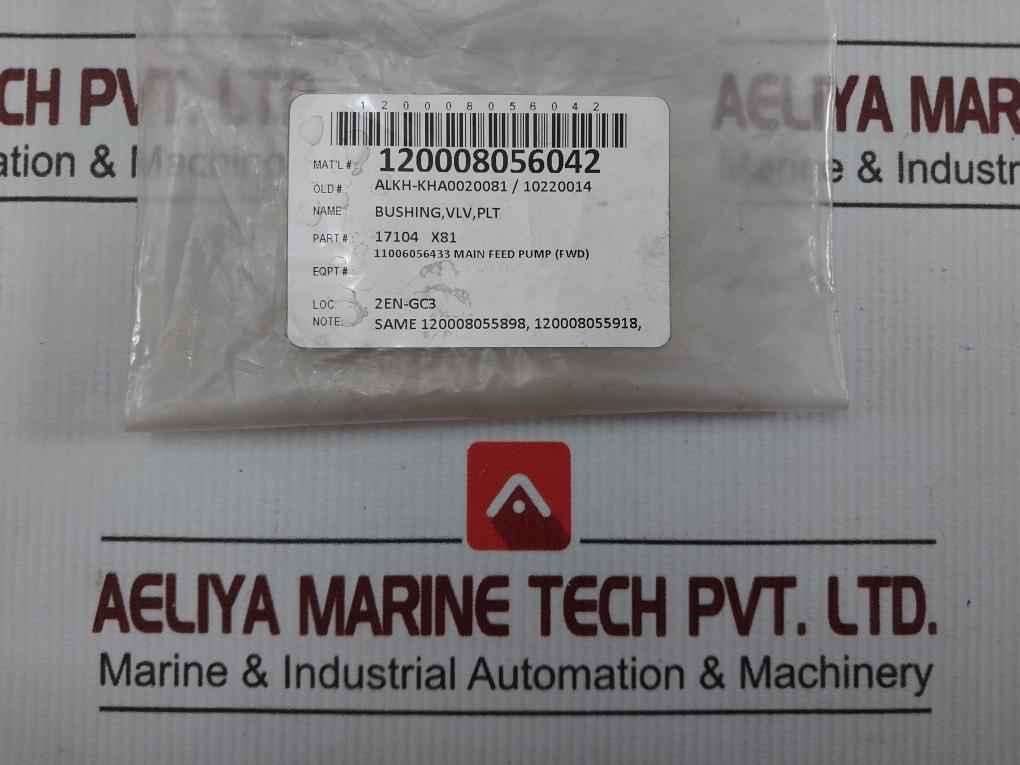 Valve Plate Bushing 17104 X81
