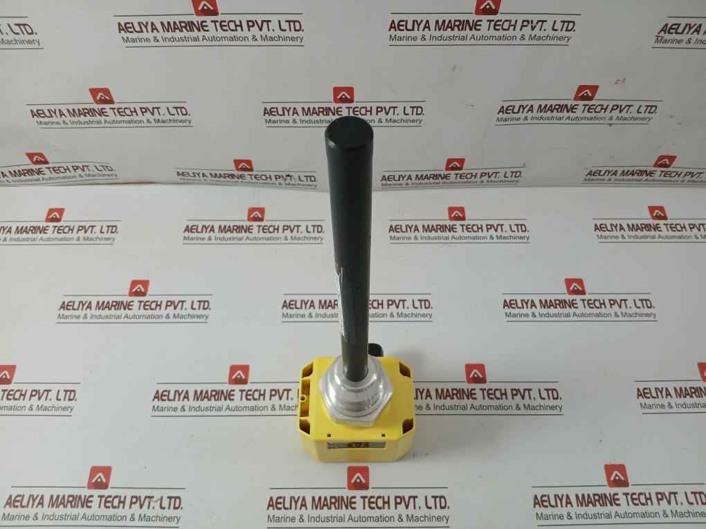 Vega Oil Detector-capacitive Cap21.Xgbasexxkr