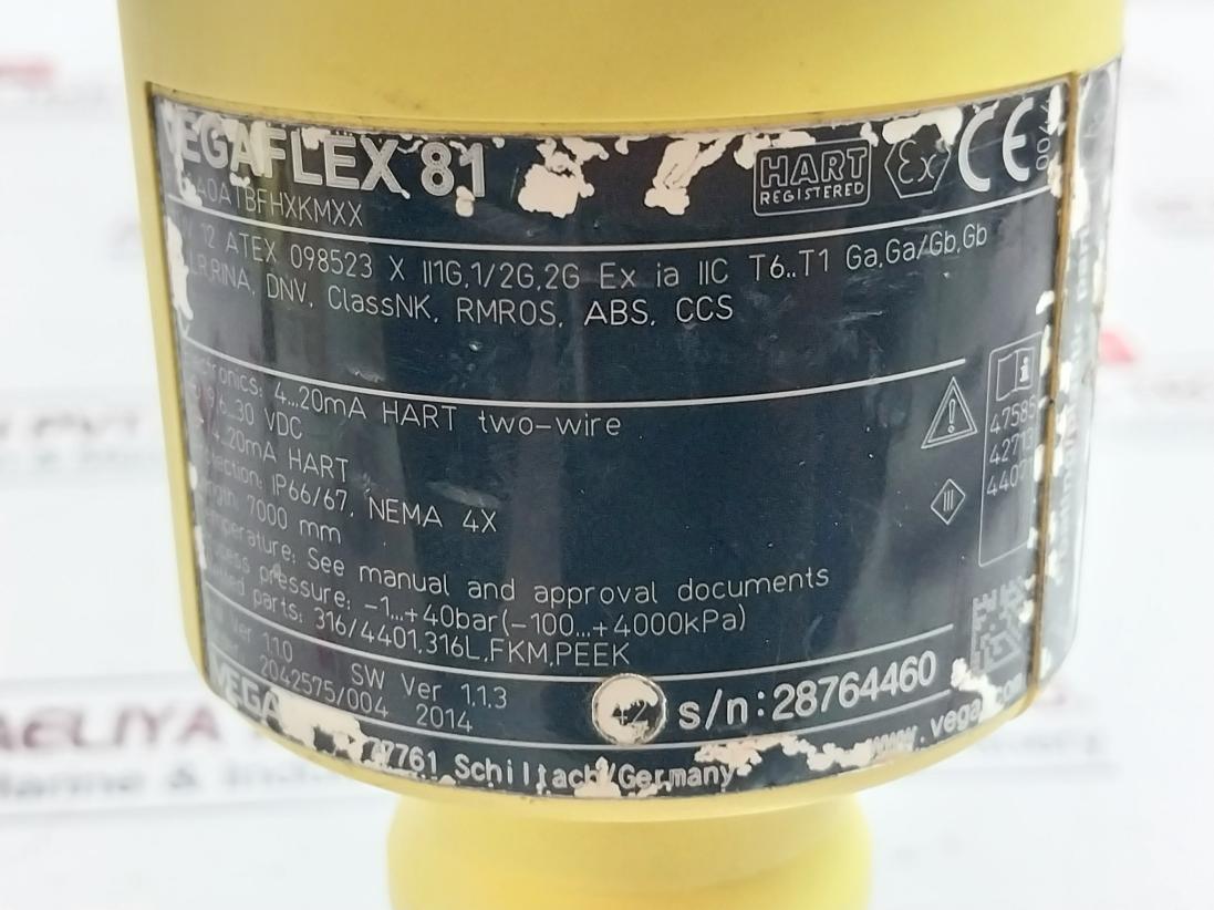 Vega Vegaflex 81 Hart Registered Universal Tdr Sensor Fx81.A0Atbfhxkmxx Ip66/67