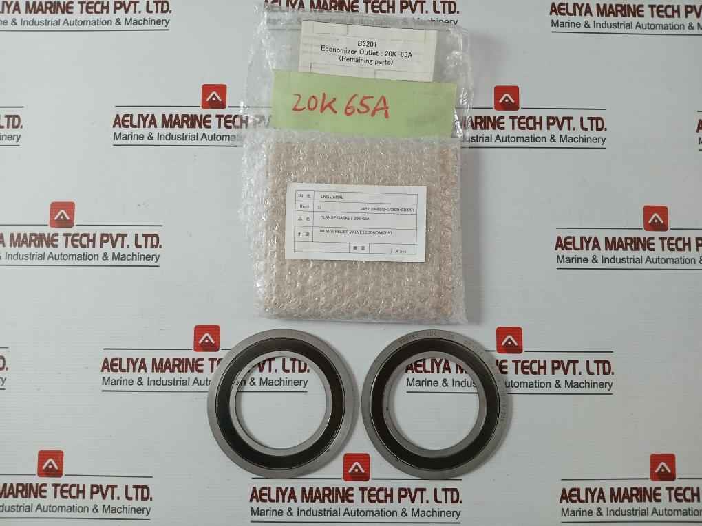 Vortex Gr-304 Flange Gasket 20K-65A J4B2 20-0072-1/2020-sb3201