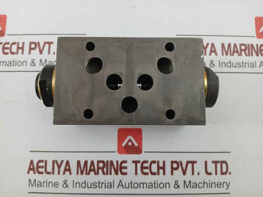 Wandfluh Hydraulic Pressure Relief Valve Aervb10 250Bar