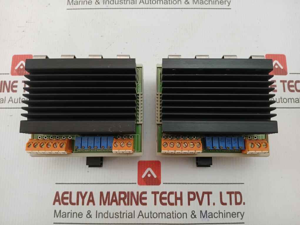 Wieland Terminal Module Web 1002