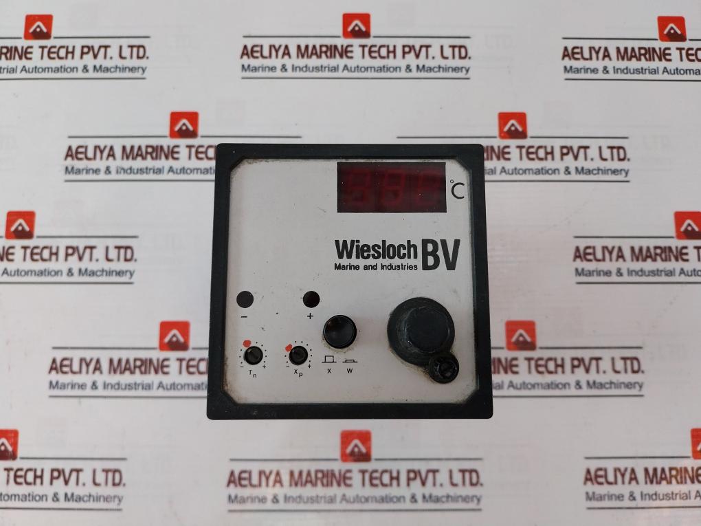 Wiesloch 887 721 Electric Controller 220V/48-62Hz 750 Gm
