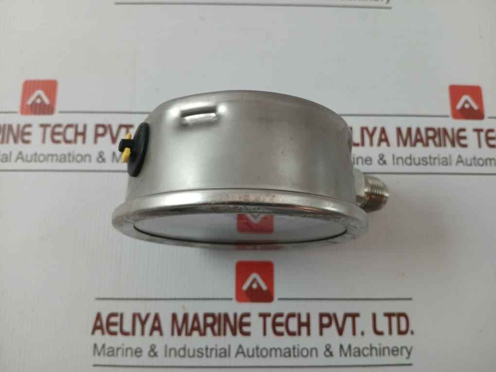 Wika Pressure Gauge 232.53.100