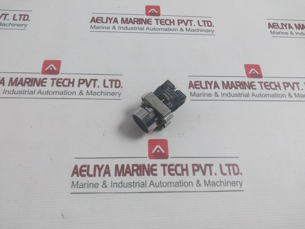 Xider Pushbutton Switch 10A Zb2-be101 400V