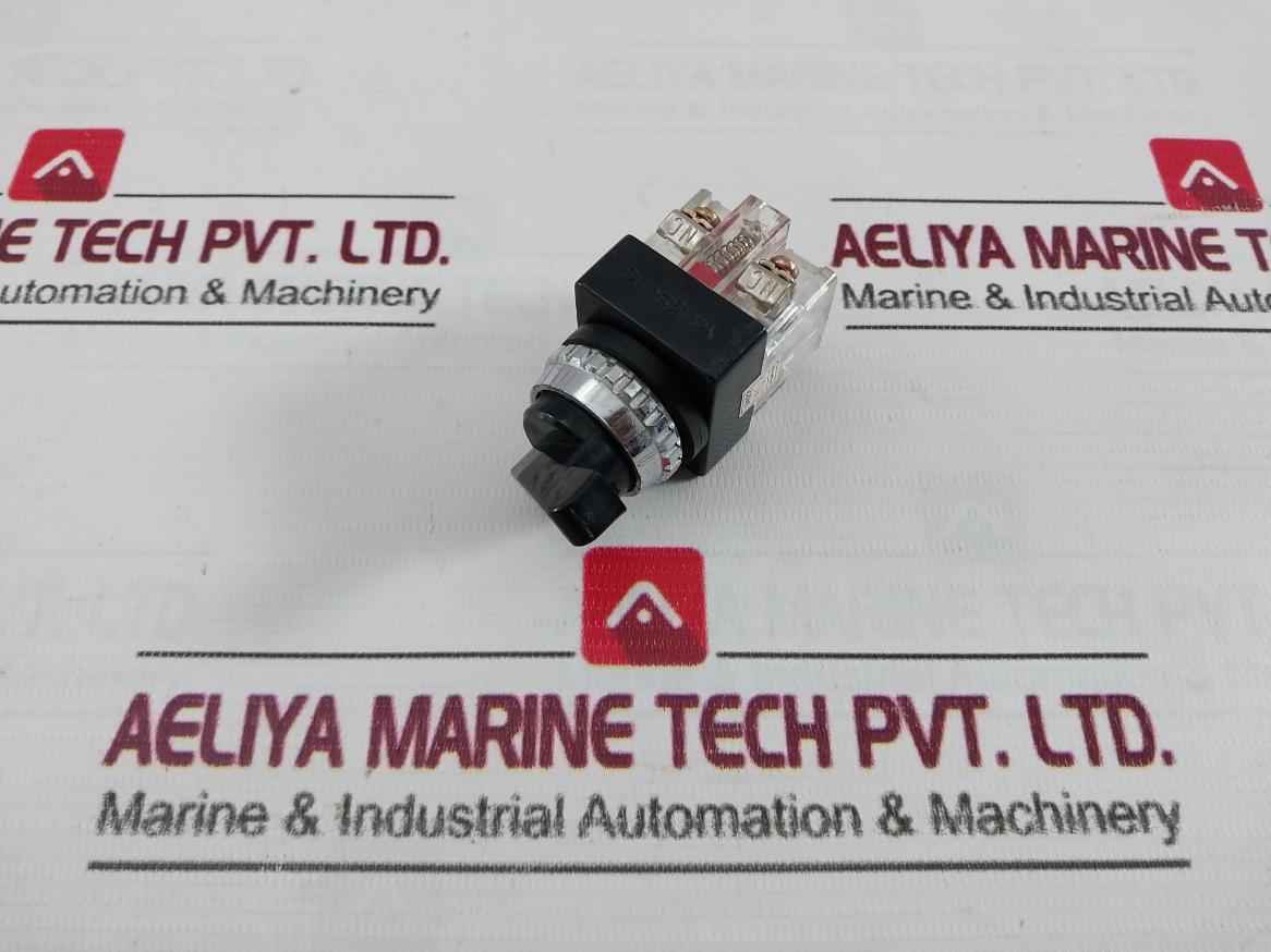 Yong Sung Ys R2-211 Selector Switch 250V 6A