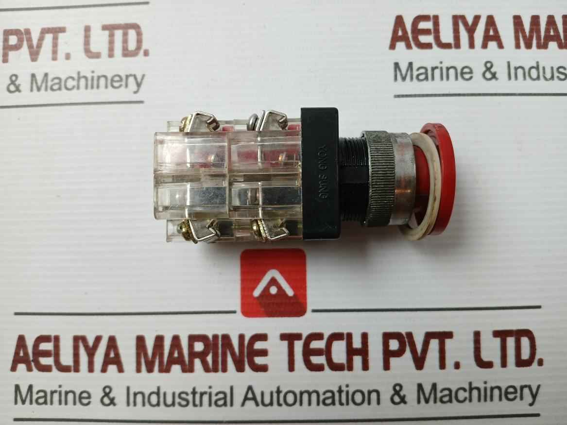 Yongsung-push Button Switch 300V 6A, 3-3-1778