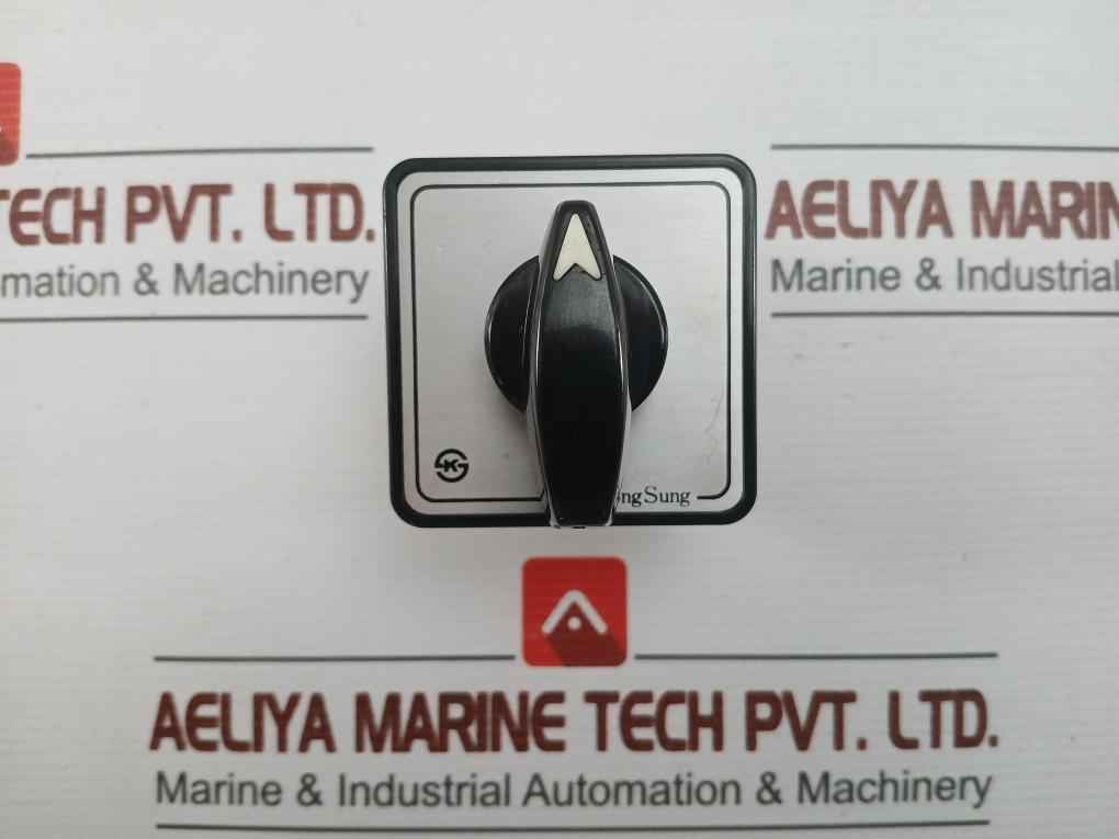 Yongsung Ac220V, 10A C-60 Rotary Cam Switch