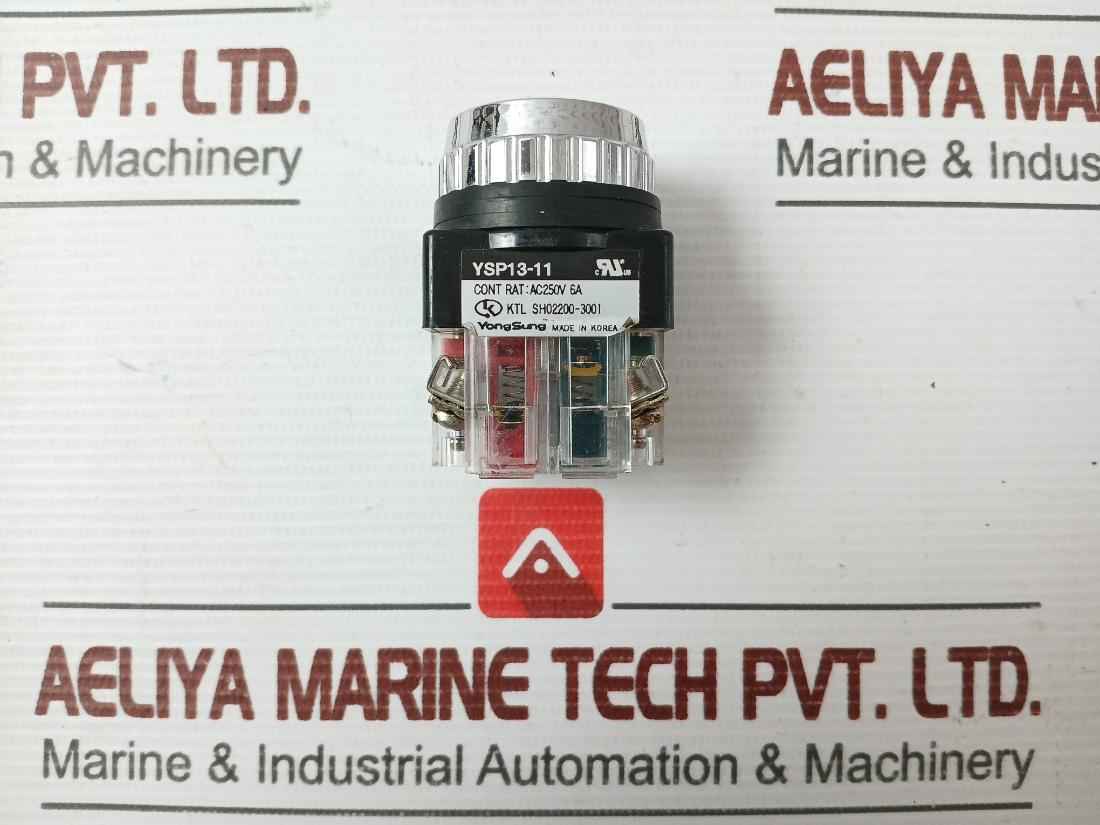 Yongsung Ysp13-11 250Vac 6A Push Button Switch With New Condition