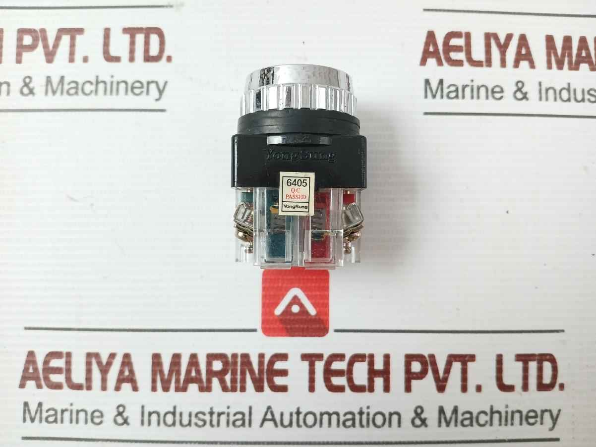 Yongsung Ysp13-11 250Vac 6A Push Button Switch With New Condition