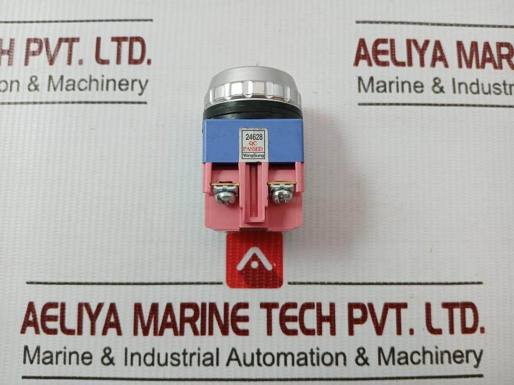 Ysap13-11 Push Button Switch Yongsung Ac250V 6A