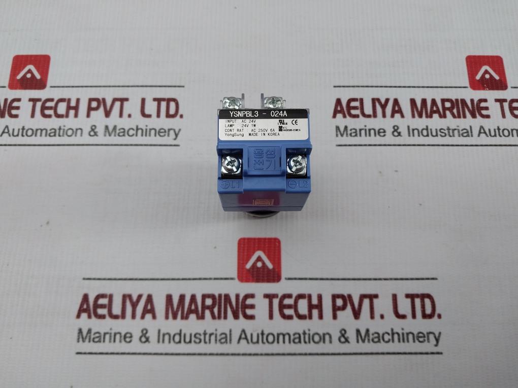 Ysnpbl3-024A Yongsung Push Button Switch Green Ac 250V 6A