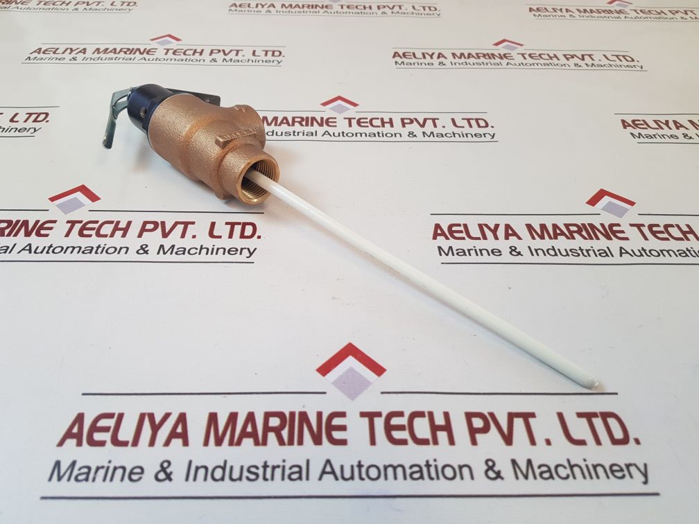 Cash acme fvx-8c p&t relief valve