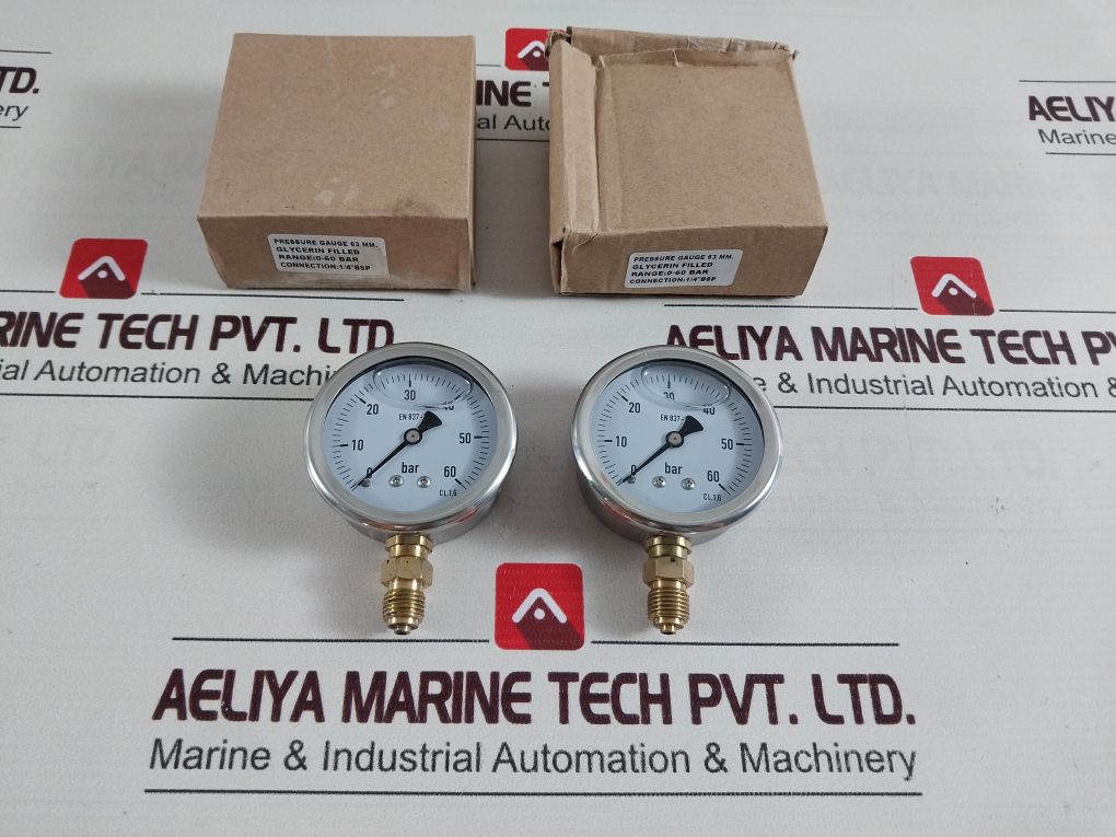 En 837-1 Pressure Gauge Cl. 1.6 0-60 Bar 1/4" Bsp
