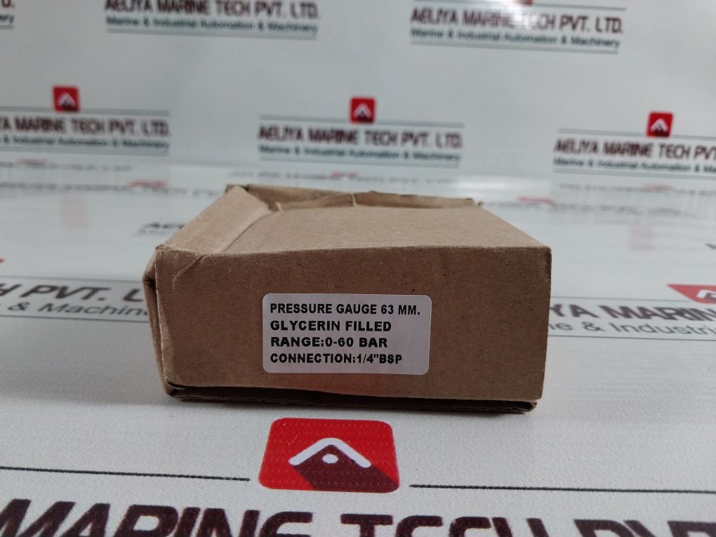 En 837-1 Pressure Gauge Cl. 1.6 0-60 Bar 1/4" Bsp