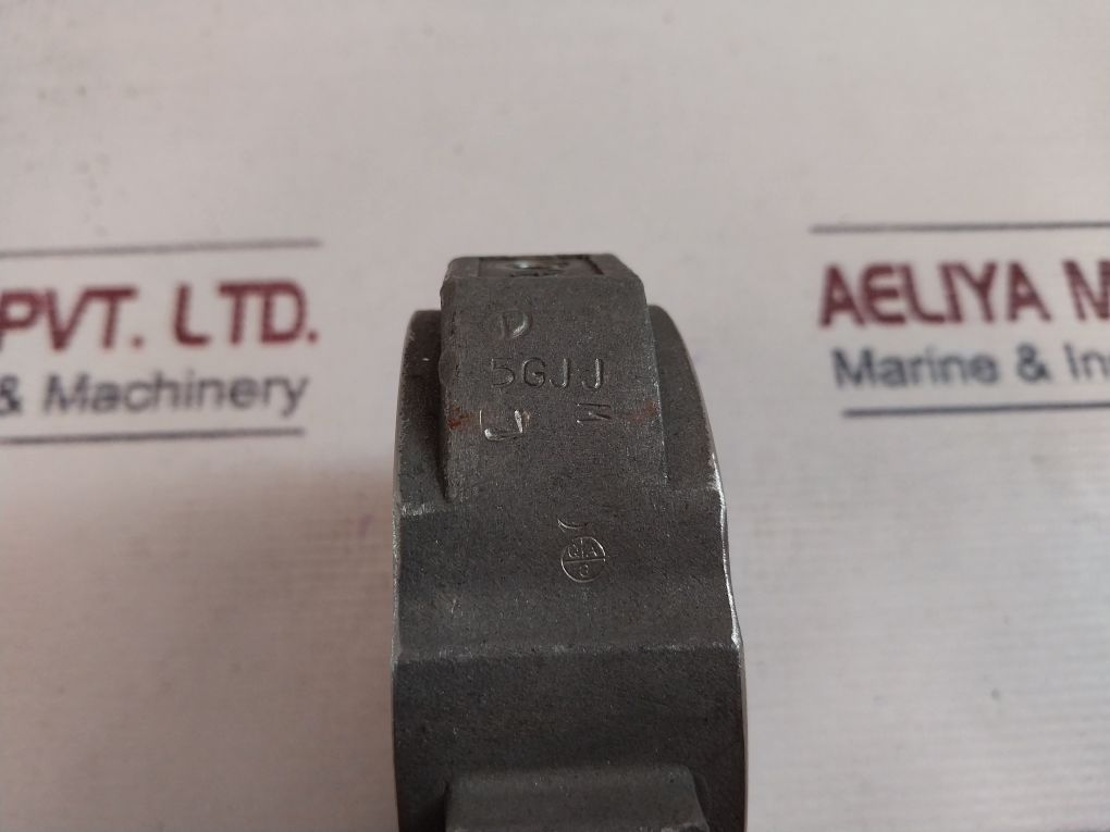 Gestra Rk 86 Check Valve Pn 6-40
