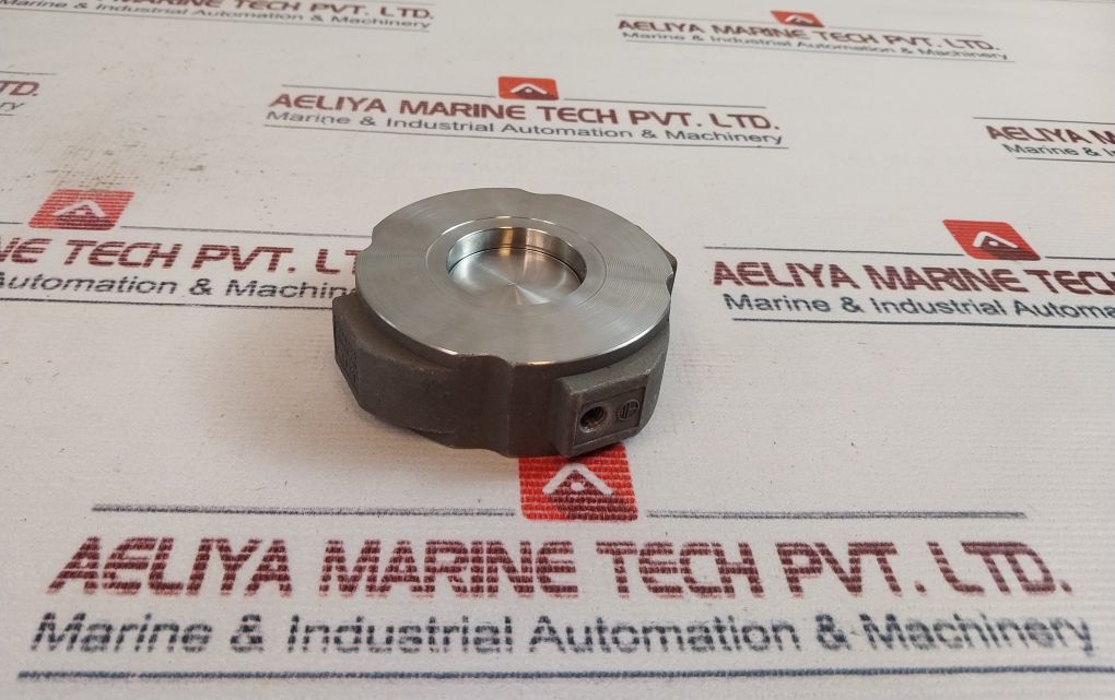 Gestra Rk 86 Check Valve Pn 6-40