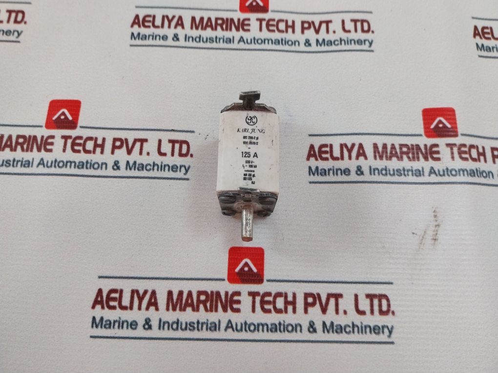 Karl Jung Iec 269-2 Gl Fuse 125A 600V