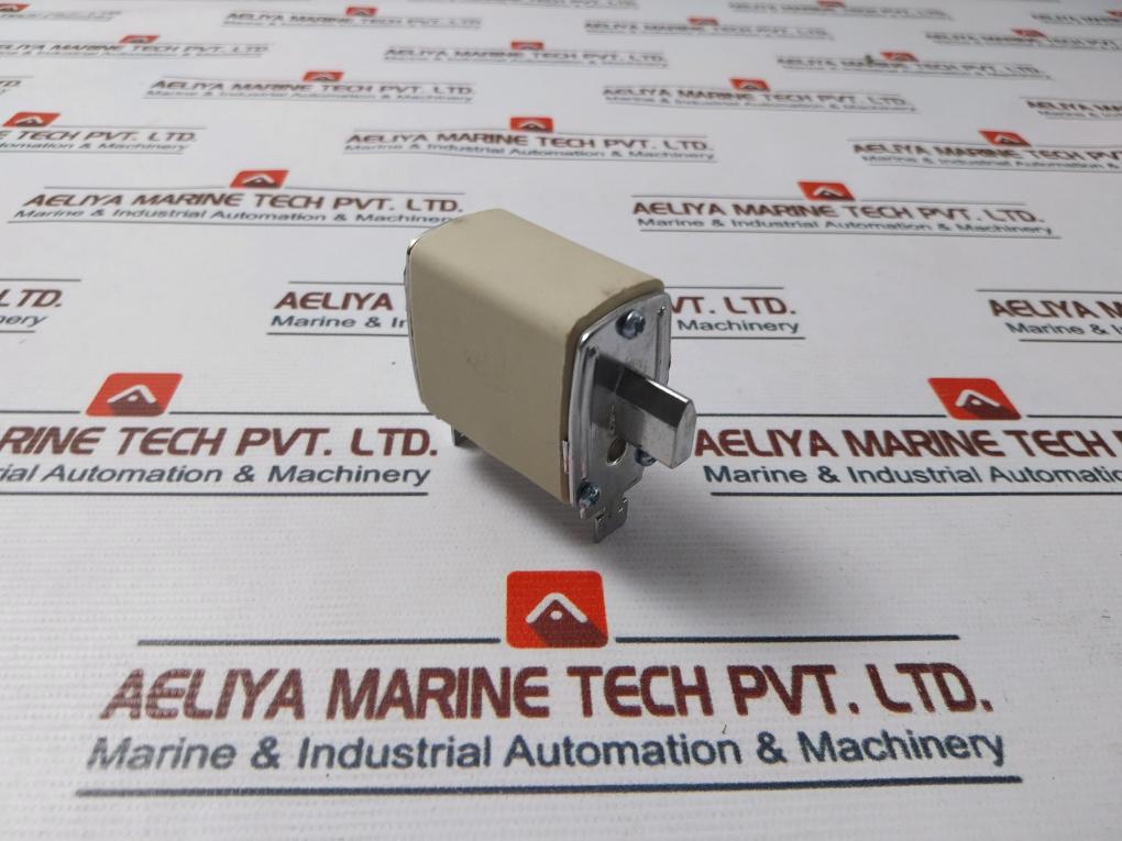 Nh00 (Nt00) Gg 100A Low Voltage Fuse
