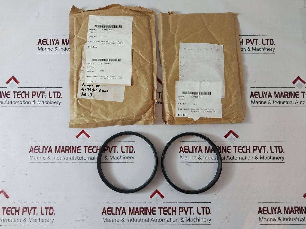 Norwegian ix100f51 seal ring