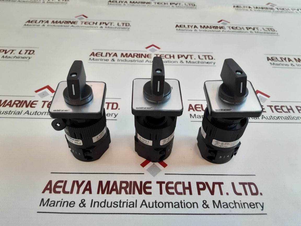 Salzer P220 Rotary Cam Switch P220-61001-219M1