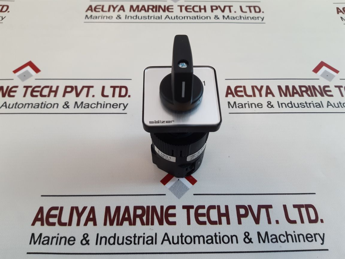 Salzer P220 Rotary Cam Switch P220-61001-219M1