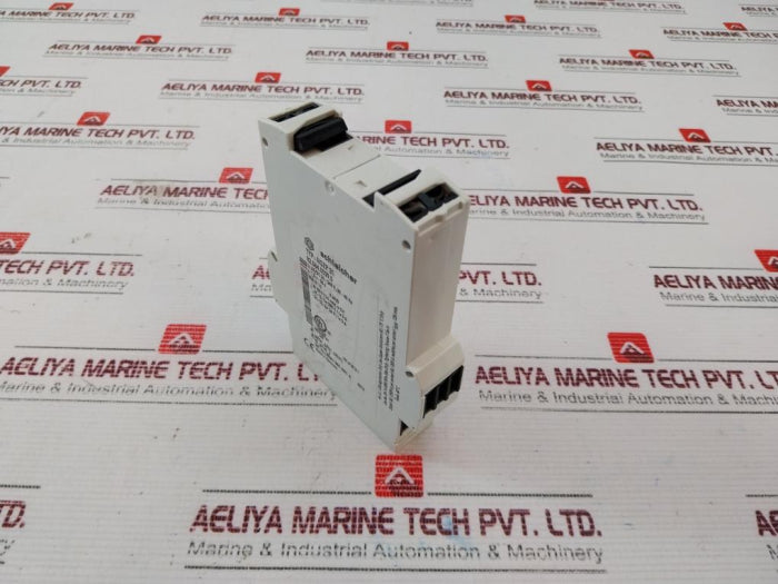 Schleicher Ngzp 31 Timer 24-240V, 50-60Hz 3A
